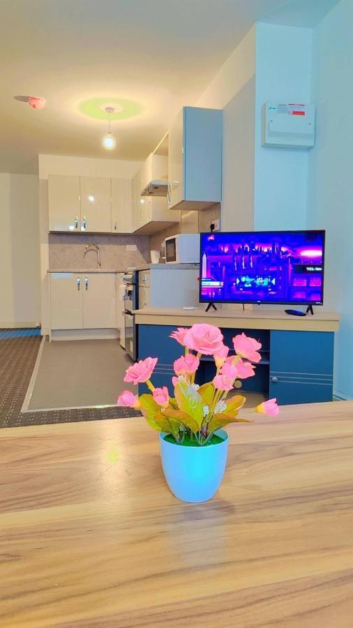 Apartment The Optimus